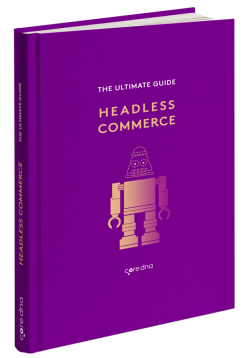 Form 30 - Inline - Headless Commerce - Guide