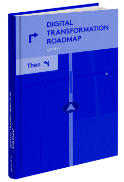 Form - 35 - digital transformation roadmap guide