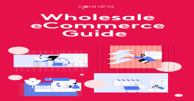 Guide: Expand Your Wholesale eCommerce with Core dna