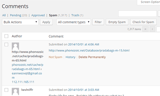 Image.[WordPress limitation #8] Spam, spam, spam