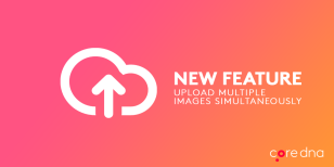 Save Time Uploading Multiple Images