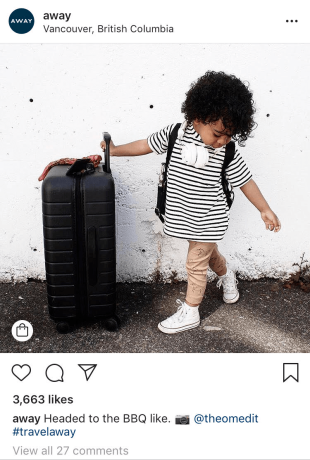 E-commerce Advertising Strategy for Lifestyle Brand Grew Luggage Brand  Delsey Luggage 142% 