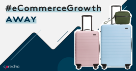 Direct-to-Consumer Retail Strategy: How a Luggage Retailer Won Big By Going D2C