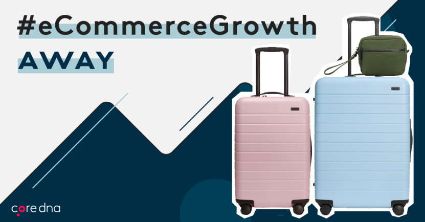 D2C Retail Strategy: A Luggage Retailer Won Big - Core dna