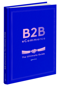 B2B eCommerce: The Definitive Guide