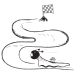 Illustration of a snail racing towards a finish line with a checkered flag.